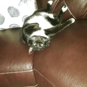 Meet your Posher, Daeleen